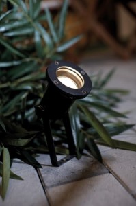 Lampa spotowa SPOTLIGHT Nordlux 1xGU10 35W Aluminium Czarny na tle roślin.