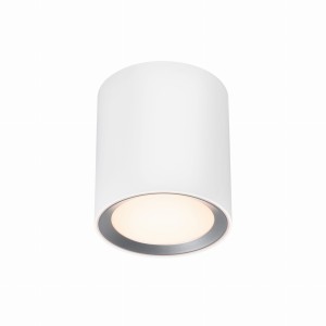 Lampa sufitowa LandonSmar Nordlux 1xLED Metal Biały.