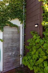 Kinkiet zewnętrzny z czujnikiem Lutec Try Solar 6939101330 zamontowany na ścianie domu.