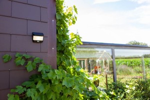 Kinkiet zewnętrzny z czujnikiem Lutec Try Solar 6939101330 zamontowany na ścianie domu.