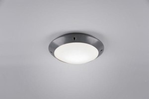 Lampa stropowa RL Camaro R60501042 IP54 1xE27 Tworzywo Szary