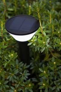 Słupek oświetleniowy Lutec Karlo Solar 6935802012 IP 1xLED wśród zieleni.