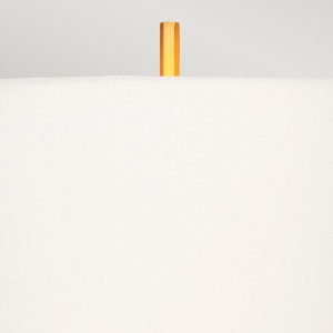 6bec8afe4c737ebe547db7e0c8d58ec8