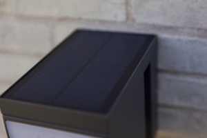 c3697d1e592bb262b86a7dba02699e37