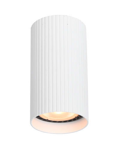 Lampa sufitowa Spot Tune S 10023 TK Lighting 1xGU10 LED 10W Aluminium Biały