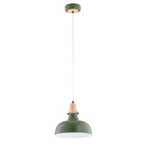 Lampa wisząca Solo 61329 Alfa 1xE27 LED Metal/Drewno Zielony