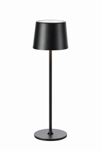Lampa stojąca stołowa Fiore 108653 Markslojd 2xLED 2W Żelazo Czarny
