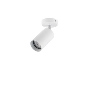 Lampa sufitowa spot EYE SPOT 6014 Nowodvorski 1x10W GU10 R50 Stal lakierowana Biały