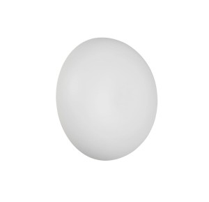 0ccc8eeaeea4d639a6cb1769657de8ce