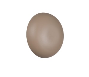 Klosz DAVEY R24431143 RL 1x1,5W LED Metal Beżowy