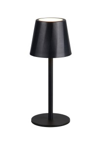 Lampa stojąca stołowa DIAZ R55961132 RL 1x1.6W LED Metal Czarny