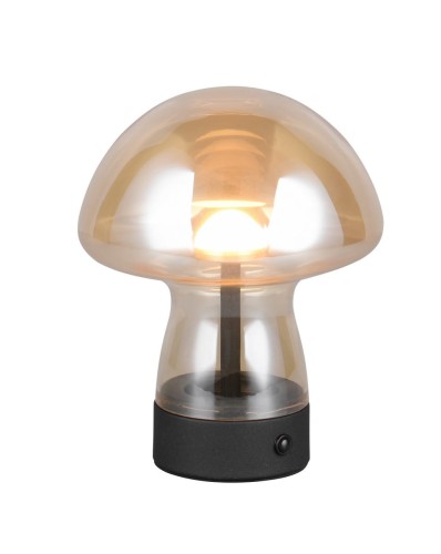 Lampa stojąca stołowa Dooley R54981113 RL 1x1,5W LED Szkło Inny