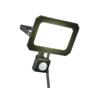 Lampa zewnętrzna reflektorowa Funchal R23349232 RL 1x30W LED Aluminium