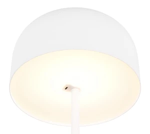 d4fb905643b1d44f955d62eea5540371