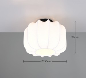 8bd11deaadd2fd9f1f5a97e32c77c65e