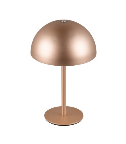 Lampa stojąca stołowa MUNOZ R54891165 RL 1x1,3W LED Metal