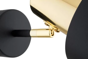 259dd56630f67d55cc89d9eb374e6ba2