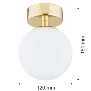 0e7a0a493502b8e34692e646216913ae