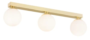 cc067c520a3cbee7a088b2ee989f56e5