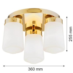 41c36d5f6ca87a71c13e724cdbc6c01e