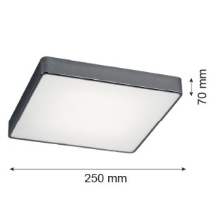 07106ff0747c9a6a6f560b4391490b24