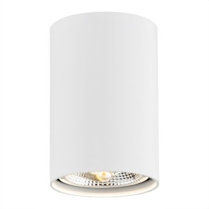 Lampa sufitowa Spot Tubo 4910 BZ Argon 1xGU10 LED AR111 12W Aluminium Lakierowane, Biały