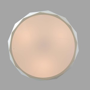 cece652004325e1fdf1eb970189f3836