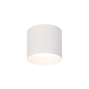 Lampa sufitowa oprawa natynkowa Kendal LP-6331/1SM L WH Light Prestige 1xGX53 Aluminium /Biały