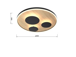 5197803f9f0d4a1bcf44606d6e196b3f