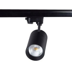 Blaupunkt Reflektor LED 1-fazowy Vision BLAUPUNKT-RS1-30CCT 30W czarny z przełącznikiem barwy światła