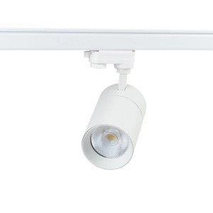 Blaupunkt Reflektor LED 1-fazowy Vision BLAUPUNKT-RS1W-30CCT 30W biały z przełącznikiem barwy światła