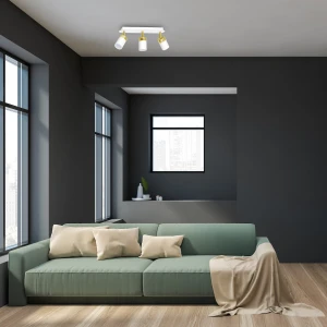 ba562dc8381e3d86931d9911af9b4028