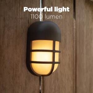 666709d534545856ee99d77ba86d43fd