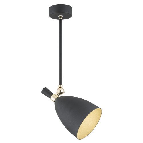 Lampa Wisząca Charlotte 4686 Argon 1xE27 15W Stal Lakierowana/ Stal Mosiądzowana, Czarny / Mosiądz