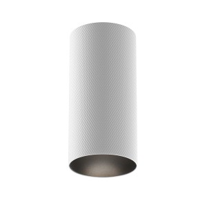 Lampa sufitowa Spot reflektor Artisan C080CL-01-GU10-W Maytoni GU10x10W Aluminium/ Biały/