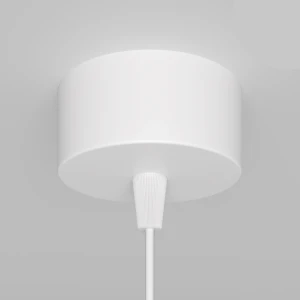 a5601e21ac66fd72e7ea8d8165e9322a