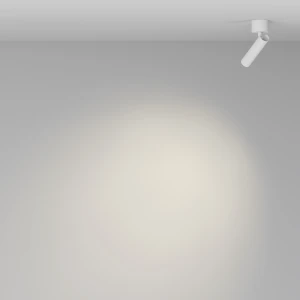 c590a90902b7c0ab3caf1661d60492be
