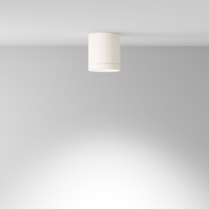 d52c15baf7a1661dae2d229029c536e2