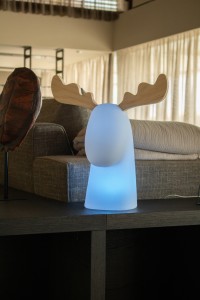 5411b9d59de718207170aab1cbf78807