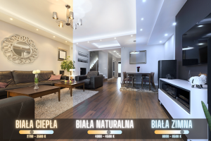 7d5b4aef83a51b3899d87ea2bba756b1