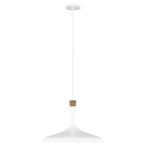 Lampa wisząca Darwin FE-DARWIN-P Elstead Lighting 1x60W E27 Stal Biały