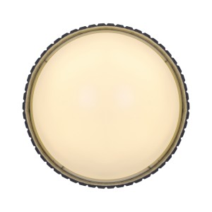 c9cac38bc323eba85ce7c6e6d118e10e