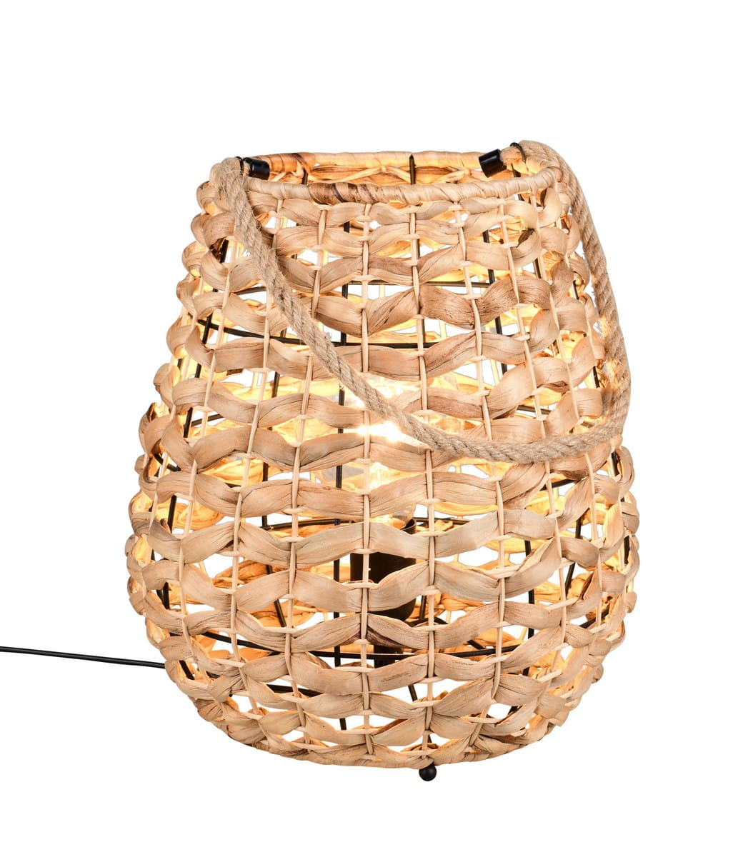 50f6a2ee1a56d9e047ecb0206845c08a