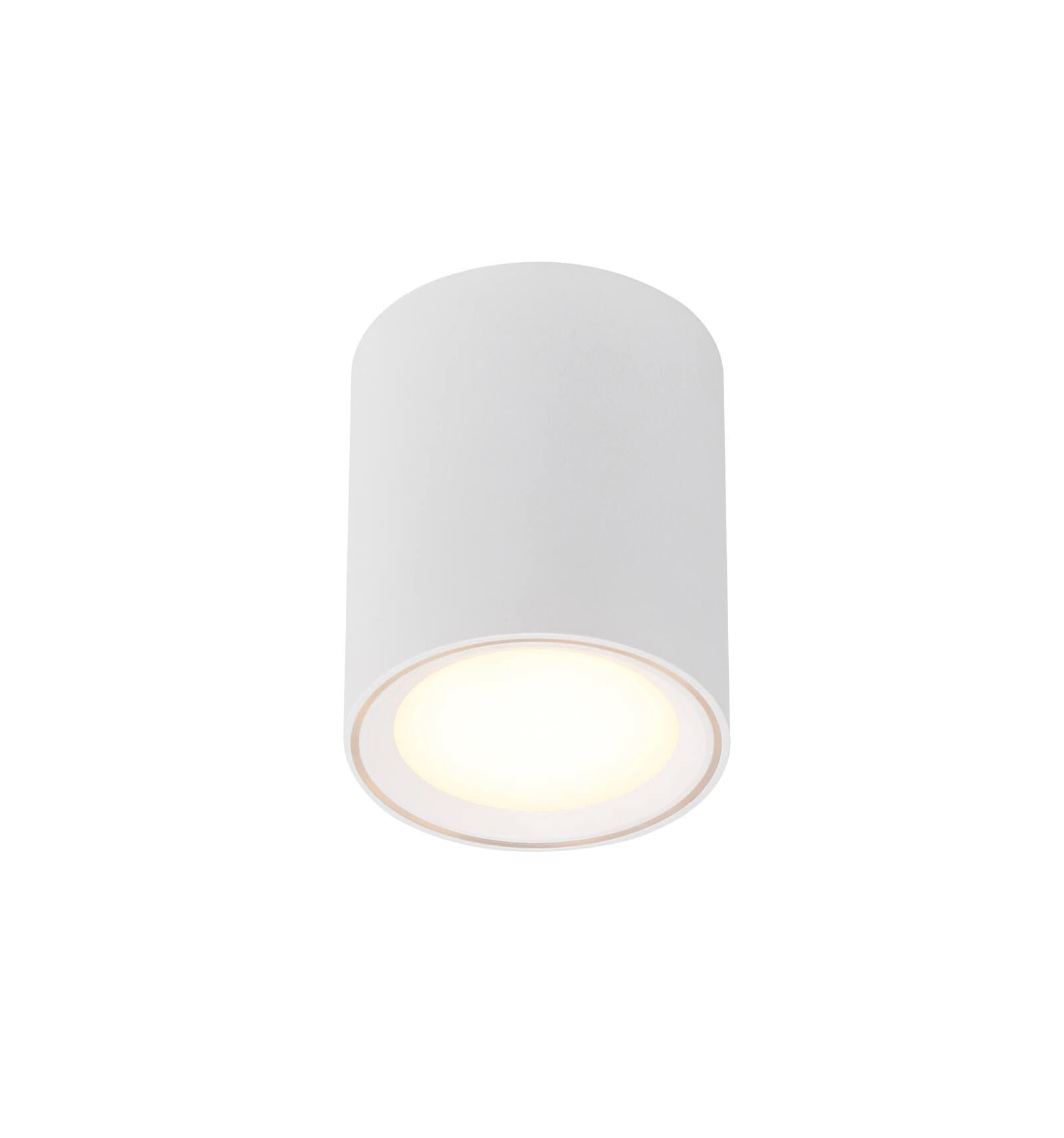 Lampa sufitowa Oprawa natykowa TUBA FALLON NORDLUX 1x5,5W LED Biały Metal.