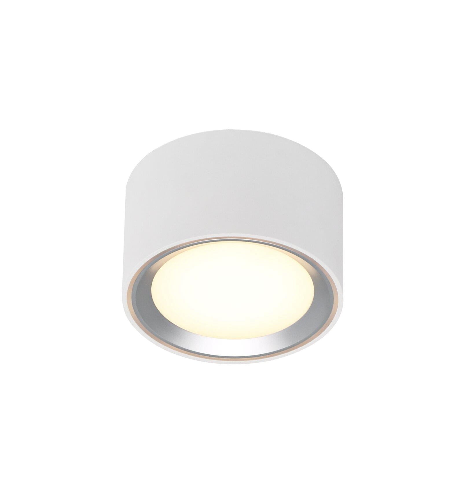 Lampa sufitowa Oprawa natykowa TUBA FALLON NORDLUX LED Srebrny Metal.